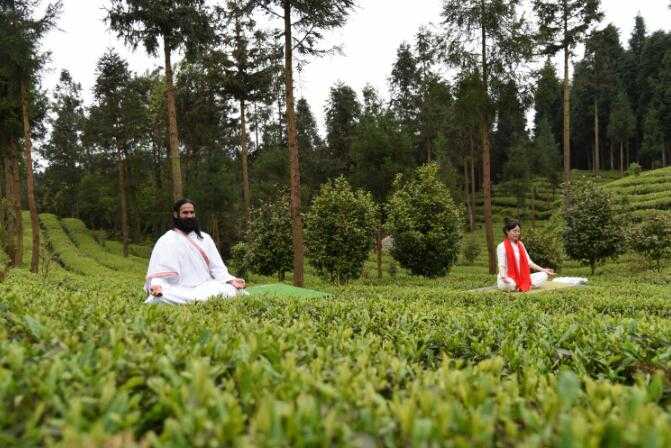 龙井茶栽培手艺全攻略-第2张图片-正海烽科技 - 领先的只能推广行业,智能制造解决方案提供商 龙井茶栽培手艺全攻略-第2张图片-正海烽科技 - 领先的只能推广行业,智能制造解决方案提供商