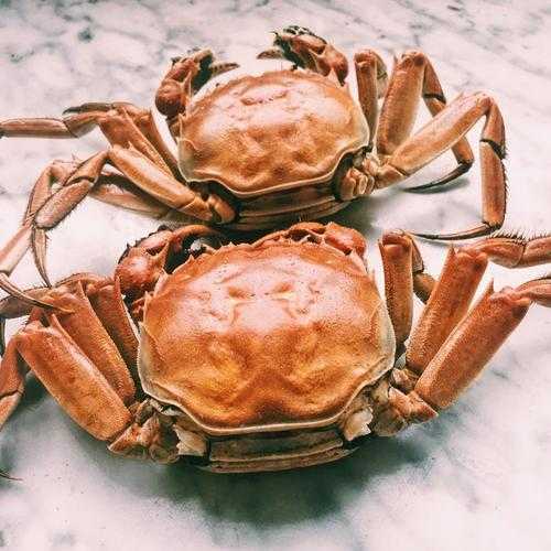 龙虾高密度养殖咋整?这些“硬核”技术让你亩产翻番还不怕病害-第2张图片-正海烽科技 - 领先的只能推广行业,智能制造解决方案提供商 龙虾高密度养殖咋整?这些“硬核”技术让你亩产翻番还不怕病害-第2张图片-正海烽科技 - 领先的只能推广行业,智能制造解决方案提供商