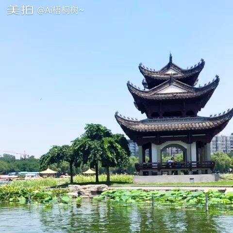 AI梧桐：你不知道的多个面孔与真实力量