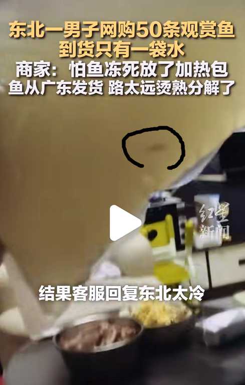 AI画画总翻车？揭秘‘画面乱’的真相与自救指南