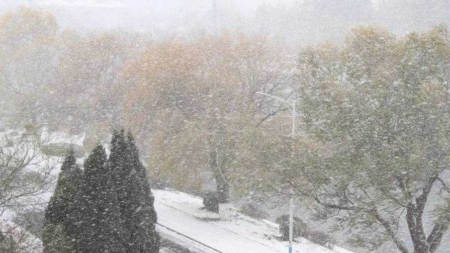 AI预报寒潮准过老经验,但自家耗电可能让冬天更冷? AI预报寒潮准过老经验,但自家耗电可能让冬天更冷?