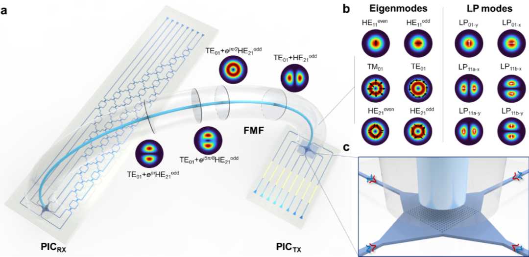 E光美肤新选择：射频与光能的智慧结合