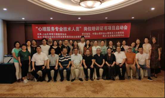 专业技术人员岗位全解析：从入门到精通的职业发展之路