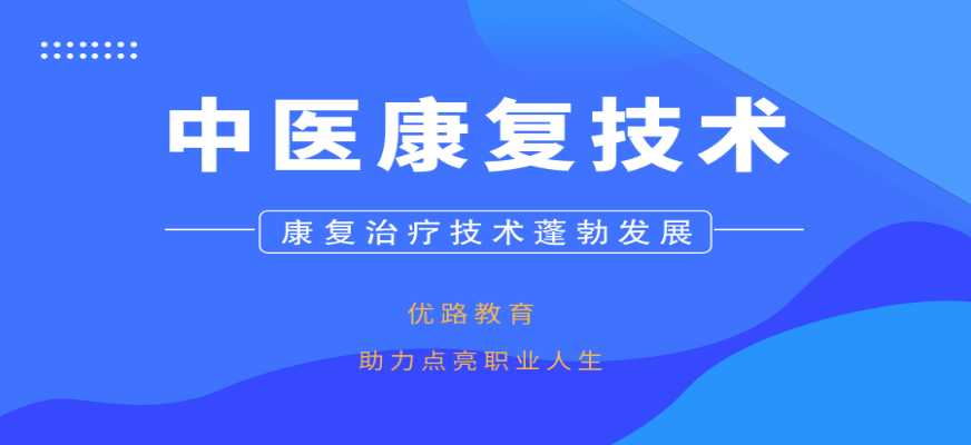 中医康复技术简历整理妙招