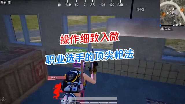 二指战神Paraboy都咋玩的？职业选手那些不轻易外传的细节和狠活-第2张图片-正海烽科技 - 领先的只能推广行业，智能制造解决方案提供商