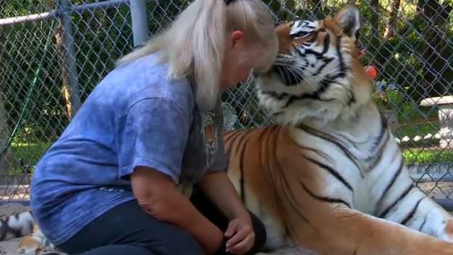 人工智慧美女與老虎的奇幻旅程