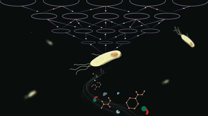 咱们今儿就唠唠AI到底是咋工作的,它那“聪明劲儿”是打哪儿来的 咱们今儿就唠唠AI到底是咋工作的,它那“聪明劲儿”是打哪儿来的
