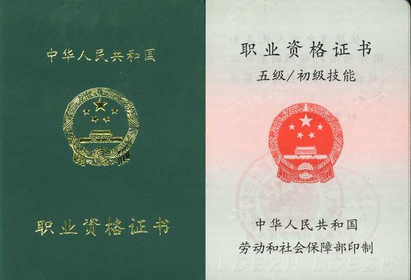 人工智能训练师认证全攻略：从入门到精通的指南