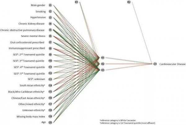 人工智能预测心脏病风险守护你的心跳