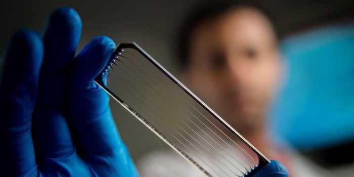 人工智能预测心脏病风险守护你的心跳