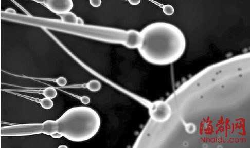 人造精子技术：当科技为生命打开另一扇窗