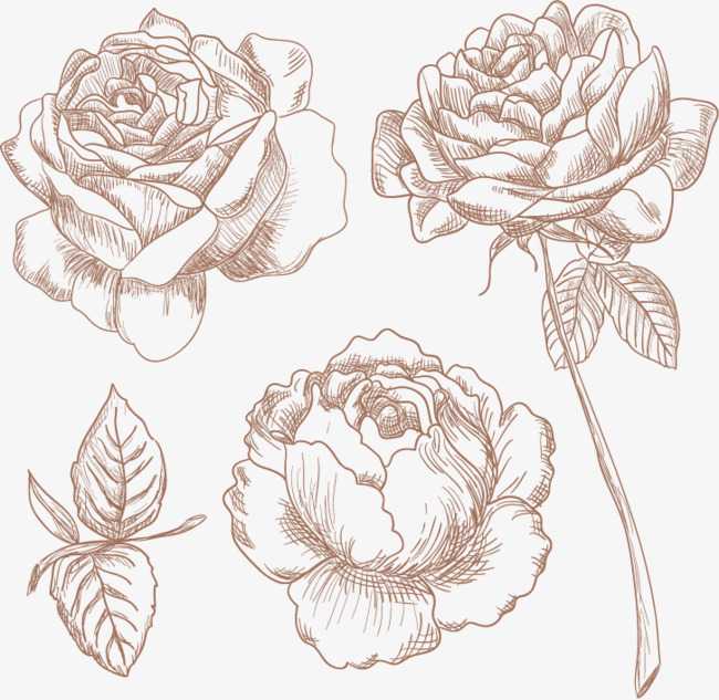 从手残党到玫瑰花AI绘画大神，这份攻略让你告别“卖家秀”尴尬