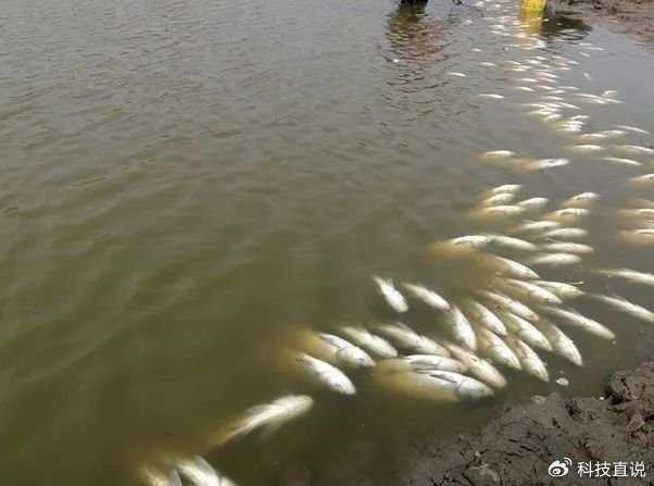 从看天吃饭到智慧管理：水产养殖技术的华丽转身