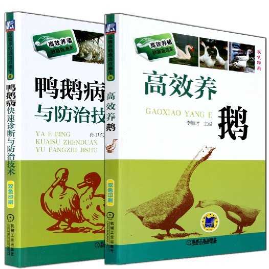 从雏苗到成鹅：手把手教你科学养鹅的门道-第1张图片-正海烽科技 - 领先的只能推广行业，智能制造解决方案提供商