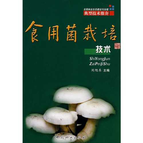 从零开始种蘑菇：手把手教你掌握食用菌栽培的窍门