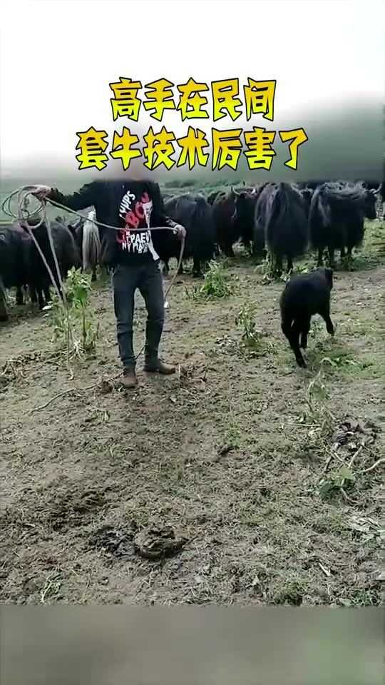 仿麂皮绒背后的高科技：比发丝细千倍的纤维如何织就柔软传奇