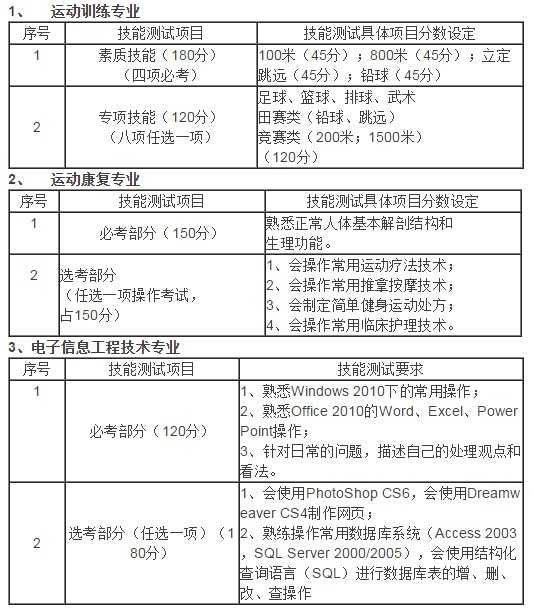体育专业技术工作小结：汗水、反思与成长