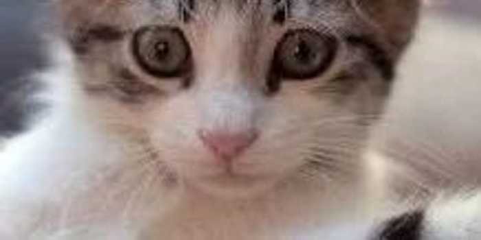 你家也有资料满天飞的烦恼吗