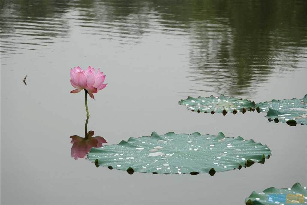 你这日子是不是也总被些“高科技”玩意儿搞得晕头转向？