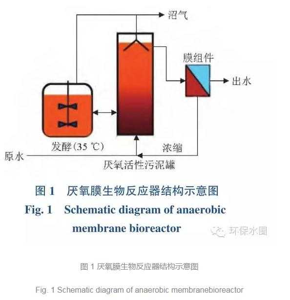 信息汪洋中的分离术：从碎片到精华的智慧