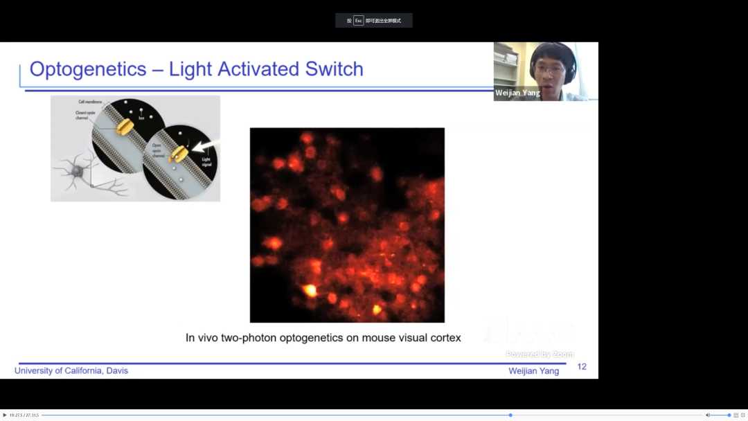 光遗传学技术演示文稿整理全攻略 光遗传学技术演示文稿整理全攻略