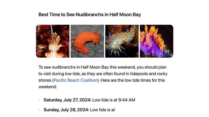 关于AI测试，你可能不知道的那些门道儿