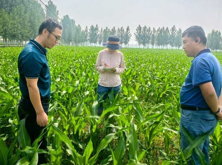 养泥鳅不迷路，避开这些坑让你轻松上手