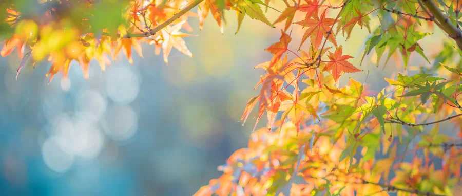 养泥鳅不迷路，避开这些坑让你轻松上手