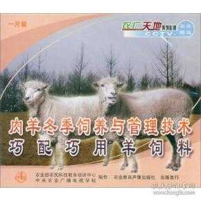 养羊有道：技术革新与精细管理助你走上致富路