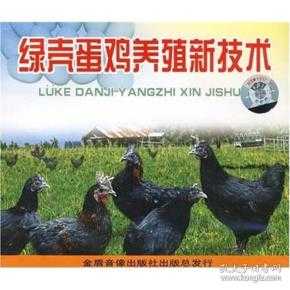 养蛋鸡的技术宝典：从入门到精通