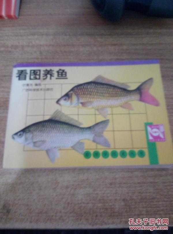 养鱼技术到底上哪学？别抓瞎，这几条路让你从入门到精通