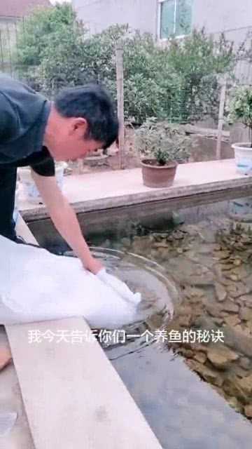 养鱼技术到底上哪学？别抓瞎，这几条路让你从入门到精通