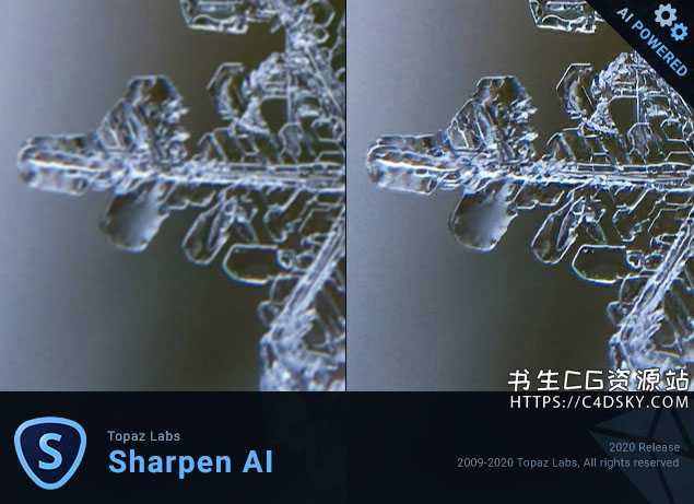 别再让模糊和杂乱毁掉你的珍贵照片！三招AI清晰图整理术，小白也能秒变达人