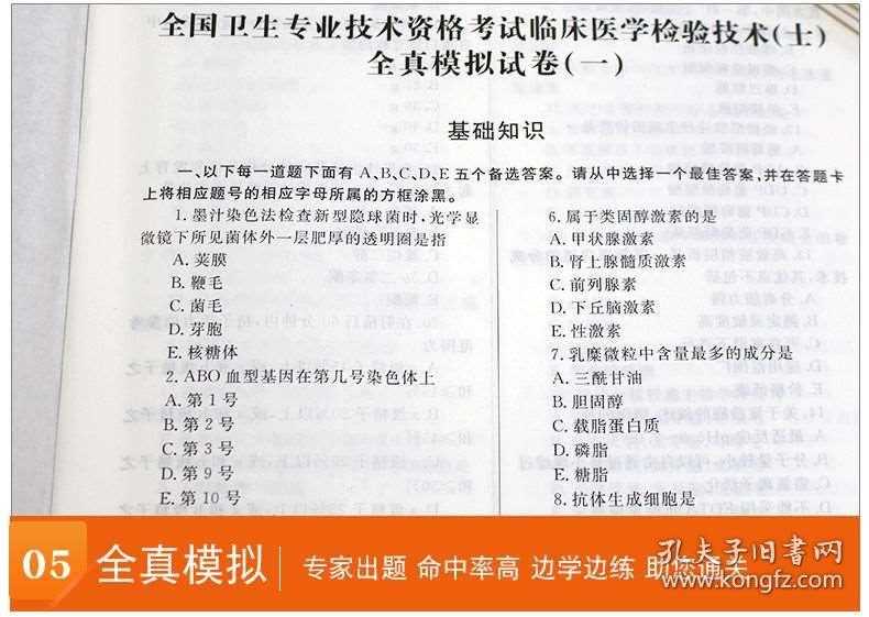 医学检验技术等级全解析