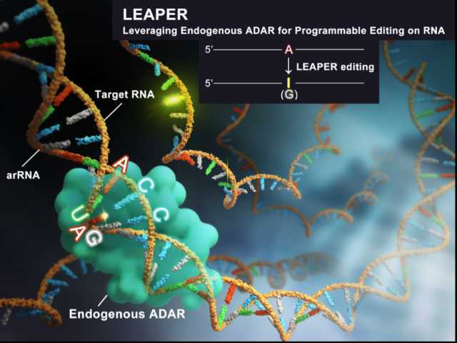 十三五时期生物技术发展的那些事儿