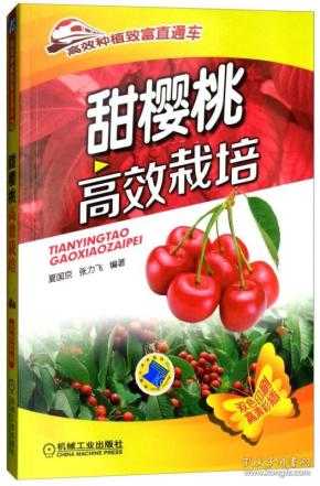 南美红宝石的养成秘籍：巴西甜樱桃种植全攻略