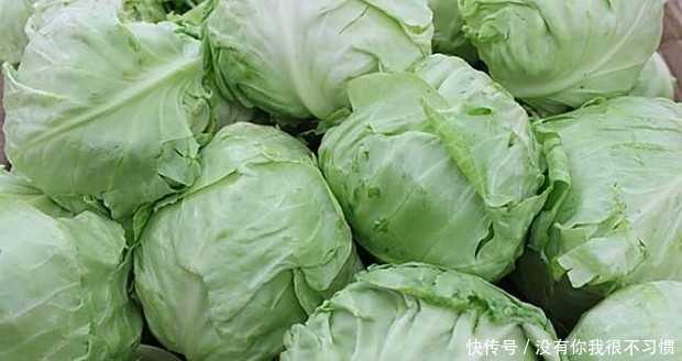 卷心菜种植那些门道，咱今儿个好好唠唠