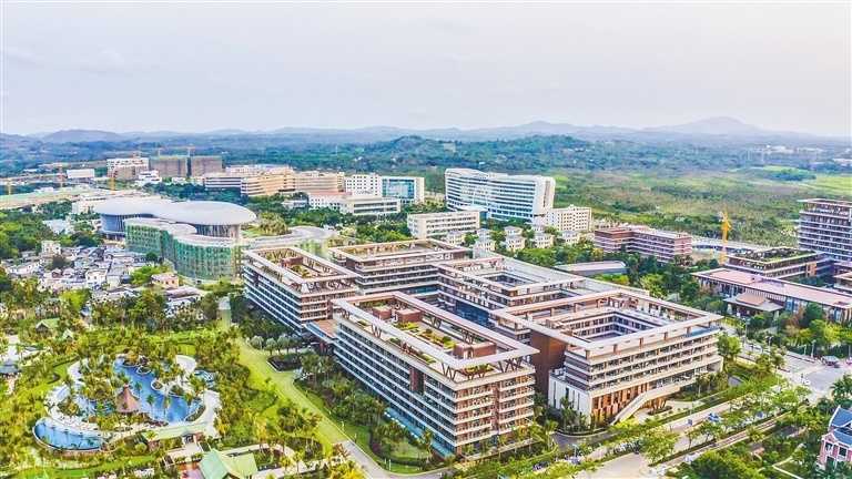 县域人工智能：从政策蓝图到田间地头的智变