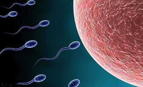 取卵背后的科技与温度：从精准穿刺到未来希望