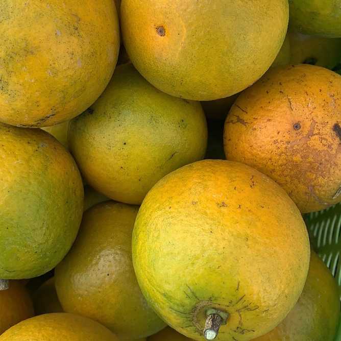 告别选择困难!让AI成为你的专属水果管家,挑存搭一网打尽 告别选择困难!让AI成为你的专属水果管家,挑存搭一网打尽