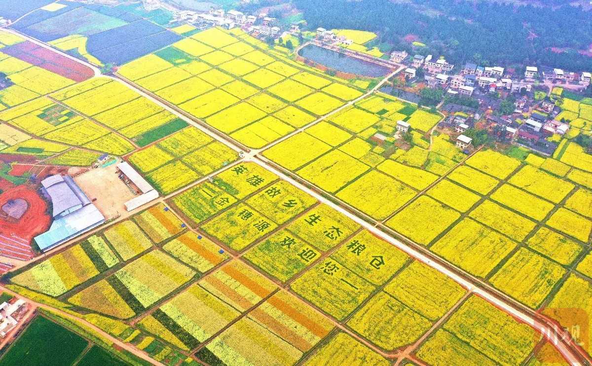 和AI搭档搞设计 样式继承不再手忙脚乱