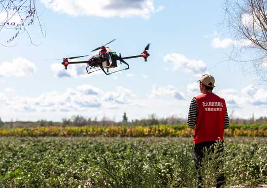 咱村里来了个“AI庄稼把式”