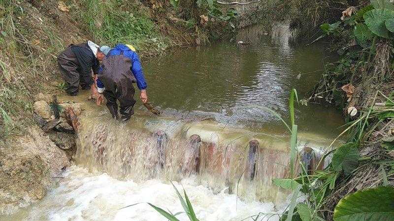 啥玩意儿能让沙漠里蔫了吧唧的树苗猛地窜起来，又能让臭水沟子变清亮？这可不是变魔术