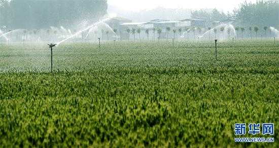 喷灌工程标准全解析，看懂这些门道才能浇好田-第1张图片-正海烽科技 - 领先的只能推广行业，智能制造解决方案提供商