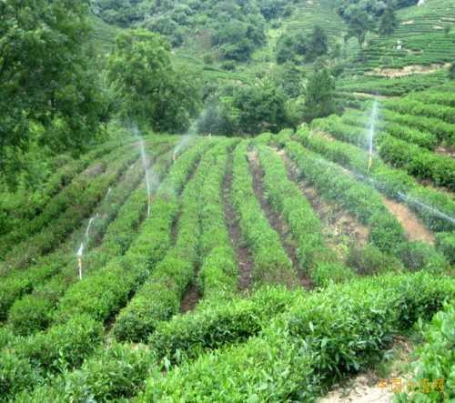 喷灌工程标准全解析，看懂这些门道才能浇好田-第2张图片-正海烽科技 - 领先的只能推广行业，智能制造解决方案提供商