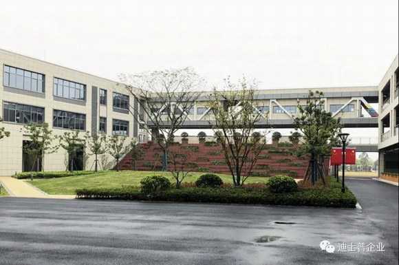 嘿!聊聊上海那所“技术流”园林专业到底有啥不一样 嘿!聊聊上海那所“技术流”园林专业到底有啥不一样