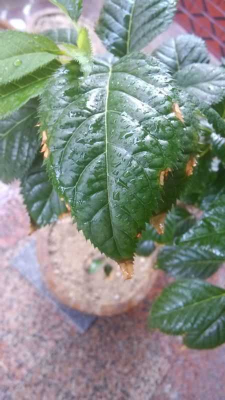 嘿,你是不是也跟我一样,让AI给整得有点“头大”了? 嘿,你是不是也跟我一样,让AI给整得有点“头大”了?