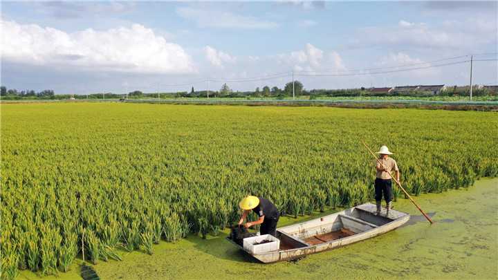 嘿，听说了吗？现在养鱼不用苦哈哈地整天守在塘边了！
