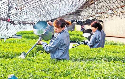 嘿，听说了吗？现在养鱼不用苦哈哈地整天守在塘边了！