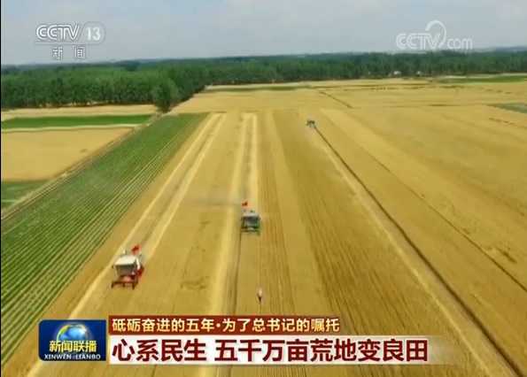 嘿，您说那地荒着可惜不？从前咱拿它没辙，现在可不一样喽